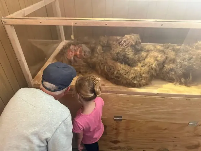 Bigfoot: davvero ne è stato trovato il DNA?