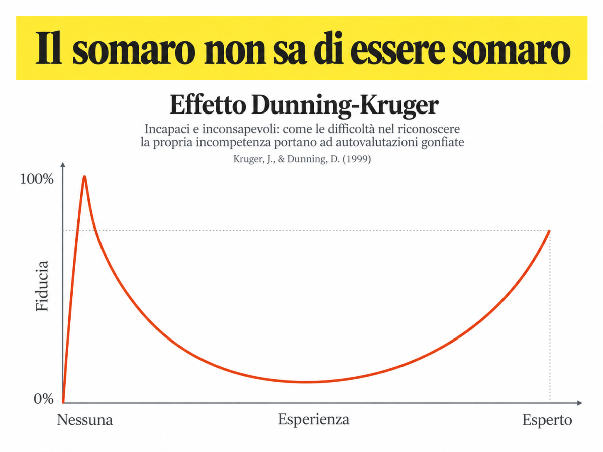 Il grafico Mt Stupid, spesso utilizzato per illustrare l’effetto Dunning-Kruger, mette in relazione il livello di competenza (asse orizzontale) con la sicurezza nelle proprie conoscenze (asse verticale). Suggerisce che una conoscenza superficiale possa accompagnarsi a un’eccessiva sicurezza, destinata a diminuire con l’esperienza e a risalire con la padronanza dell’argomento. Si tratta, tuttavia, di una rappresentazione semplificata e molto diffusa sul web, che non corrisponde ai risultati sperimentali originali di Kruger e Dunning.