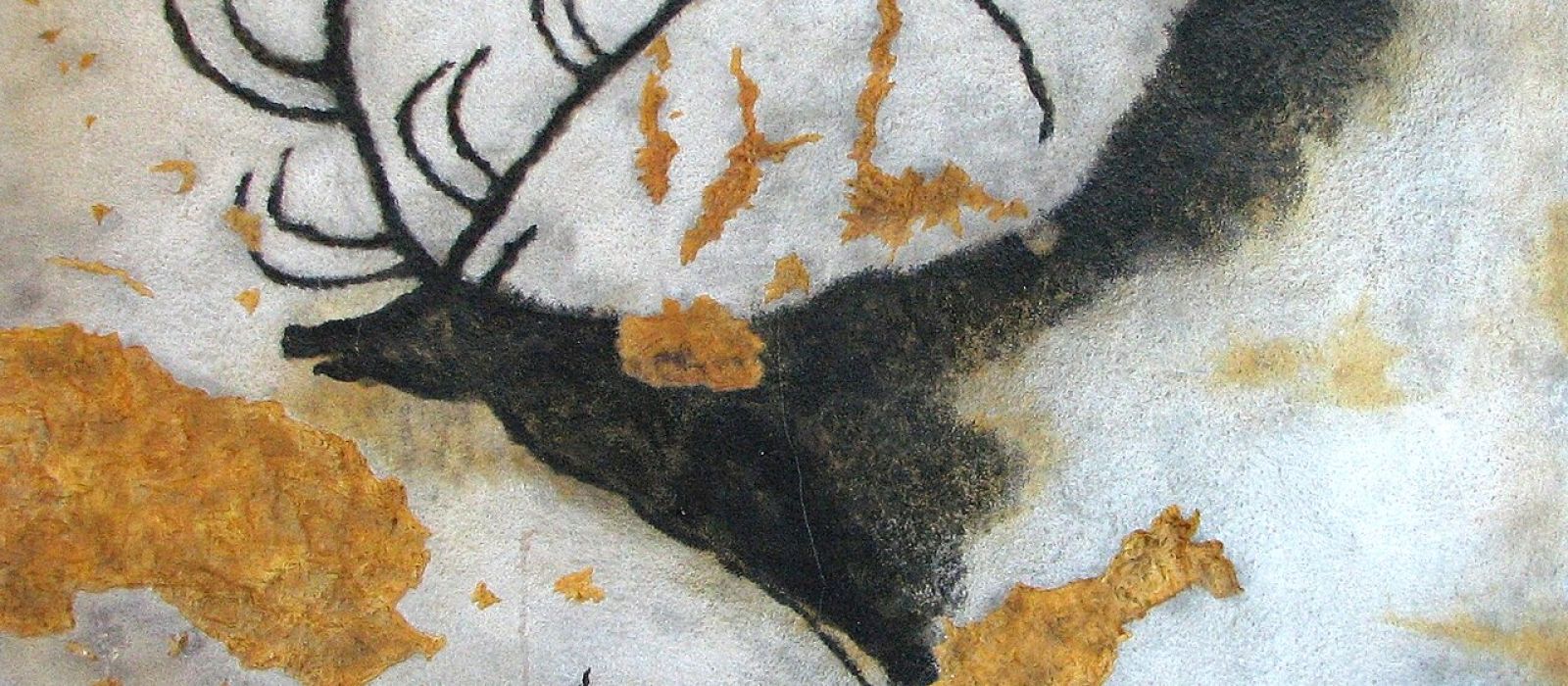 Lascaux: i sogni dei nostri antenati