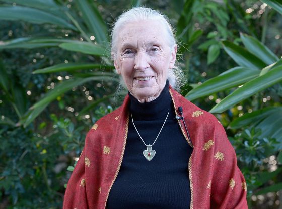 Jane Goodall e le ragioni per la speranza