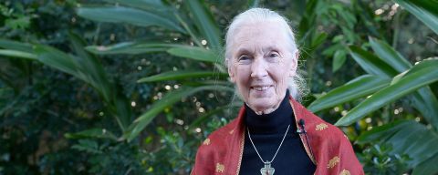 Jane Goodall e le ragioni per la speranza