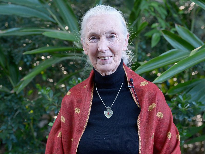 Jane Goodall e le ragioni per la speranza