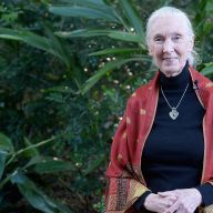 Jane Goodall e le ragioni per la speranza