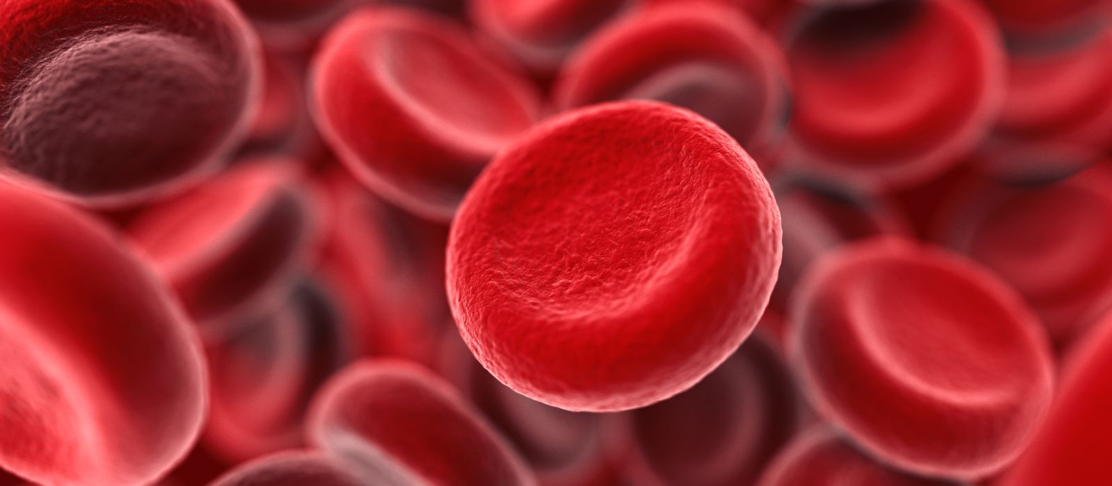 Il sangue del futuro si farà in laboratorio