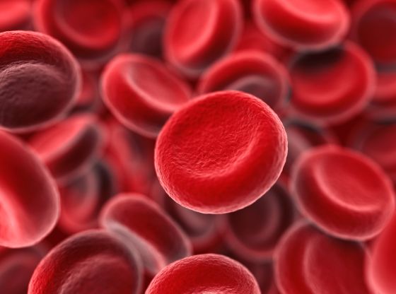 Il sangue del futuro si farà in laboratorio
