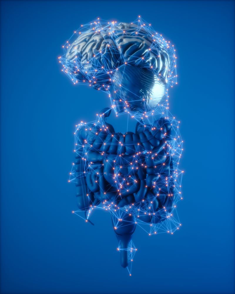 Connettività neurale tra cervello e sistema digestivo. Nel suo digitalizzarsi, la rete si avvicini sempre di più al funzionamento degli organismi viventi.