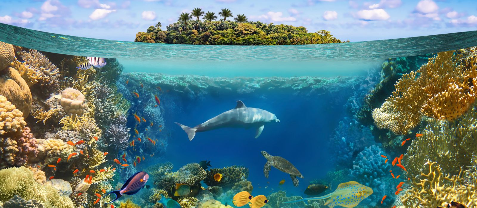 L’impronta invisibile della natura