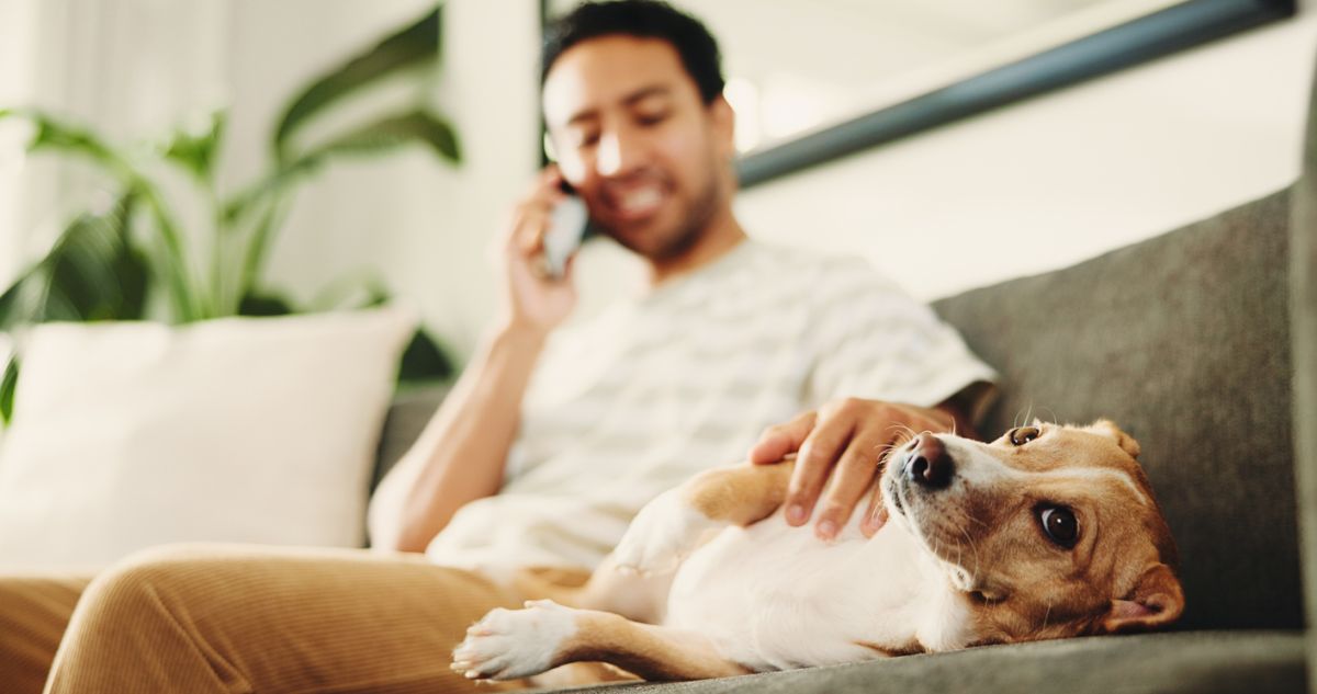 Un cane perplesso mentre il suo padrone parla al cellulare.